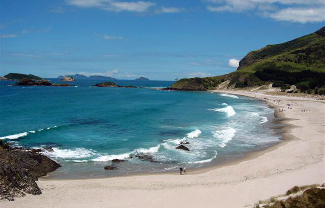 NIAI and WINGS Beach Day and Water Safety Talk